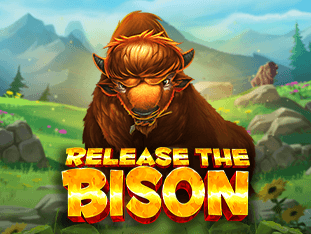 Release The Bison game thumbnail